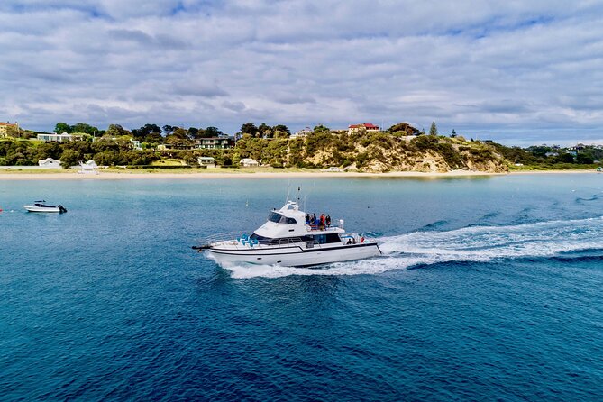 1.5hour Scenic and Wildlife luxury cruise - From Sorrento toward Portsea
