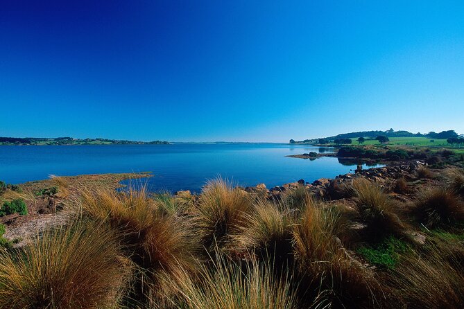 1 Day Exclusively Private Tour Of Phillip Island & The Penguin Parade - Churchill Island and the island’s rural side