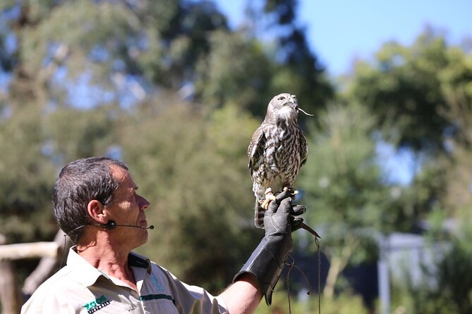 1 day Puffing Billy Steam Train and Wildlife Tour from Melbourne - The Lakeside Visitor Centre and lunch break