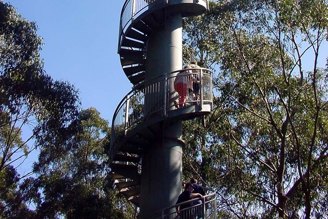 12 Apostles and Otway Fly Zipline Day Trip from Melbourne - Loch Ard Gorge is the best place to slow down