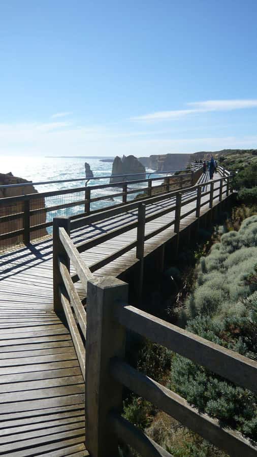 2 Day Great Ocean Road Small Group Tour - A rainforest walk in the Great Otway National Park