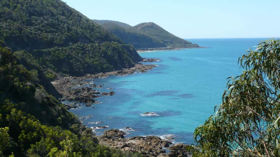 2 Day Great Ocean Road Small Group Tour - Castle Cove and the coast before the Twelve Apostles
