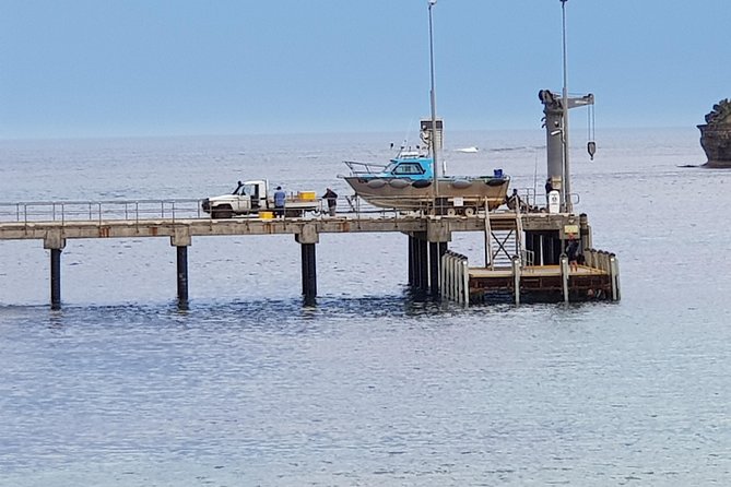2 Day Great Ocean Road Tour and Platypus paddle - Lunch at Yatzies and the inland turn