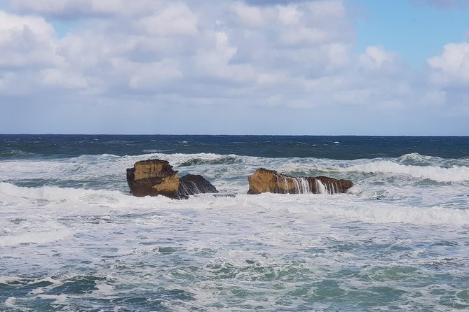 2 Day Great Ocean Road Tour and Platypus paddle - Mait’s Rest and Cape Patton add texture