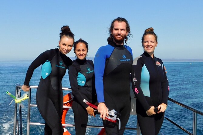 2 hour Seals & Seadragon Swim - Who will enjoy this experience most