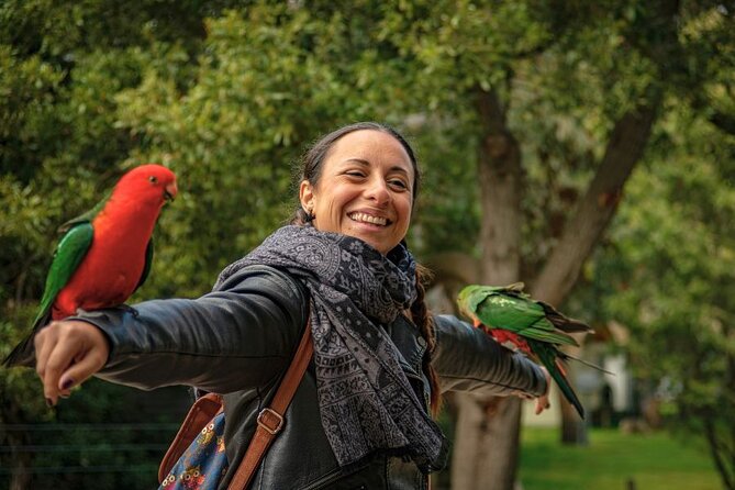 3 Day Combo: Great Ocean Road, Penguin Parade and FREE City Tour - Guides, coach comfort, and group size