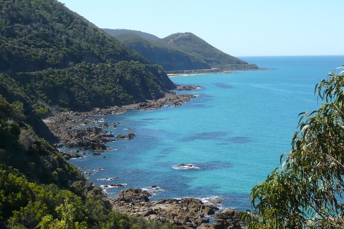 3-Day Melbourne to Adelaide Tour Including the Great Ocean Road - Who should book this road trip