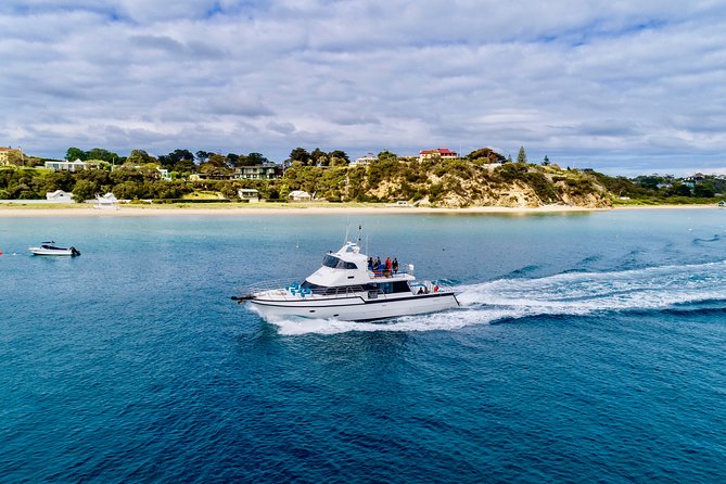 3 hour Dolphin and Seal Swim (NOV-APR) - What $150.62 buys you