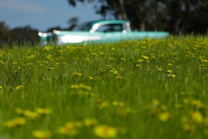 '56 Chevrolet 6-hr Yarra Valley Classic Car Private Tour (4 ppl) - What the private format is worth at $697.16