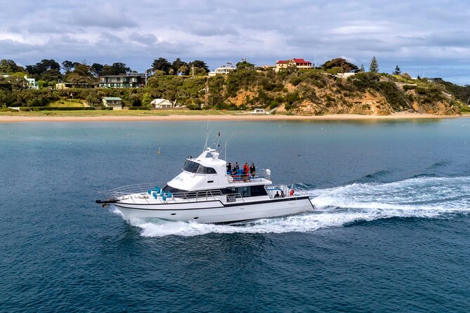 90 minute wildlife and scenic cruise - From Sorrento to Portsea by water