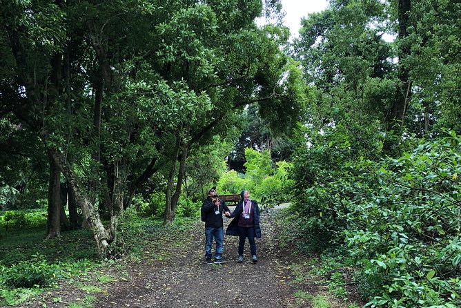 Alices Journeys Walking Tours of Daylesford 2.30pmFRI 11.30amSAT - The Daylesford and District Historical Museum