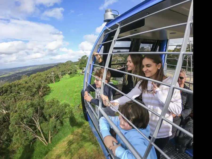 Arthurs Seat Eagle: Scenic Gondola Ride - Why the Arthurs Seat Eagle makes a good Melbourne side trip