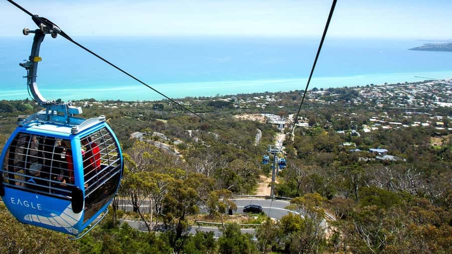 Arthurs Seat Eagle: Scenic Gondola Ride - From the Base Station to the treetops
