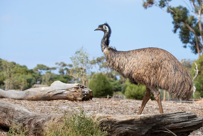 Australian Experience at Werribee Open Range Zoo - excl. entry - Planning the day at Werribee Open Range Zoo