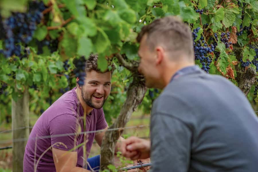 Bellarine Winery: Texas BBQ Platter Lunch with Wine - Making the most of the two-hour visit