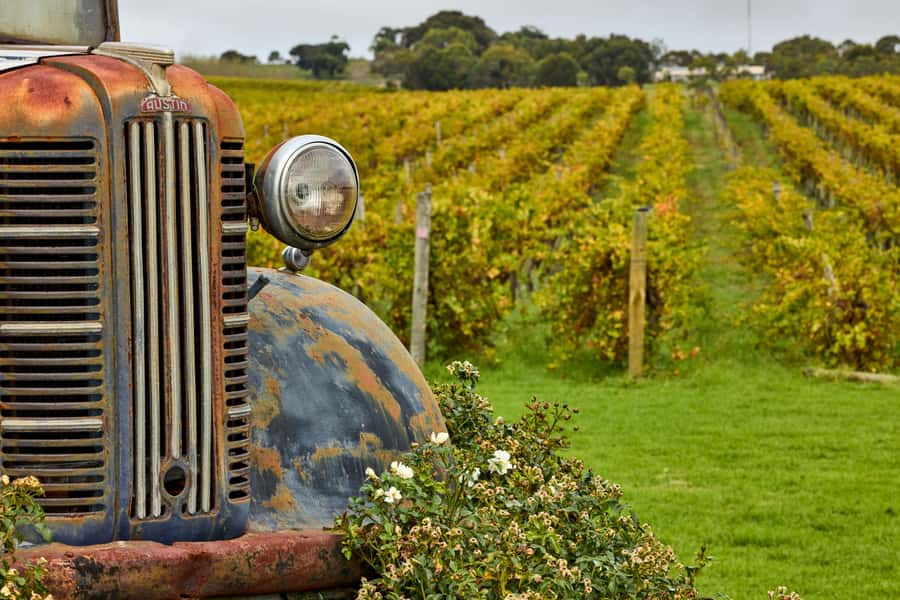 Bellarine Winery: Texas BBQ Platter Lunch with Wine - Thirty Acres Distillery and the field-to-flask idea