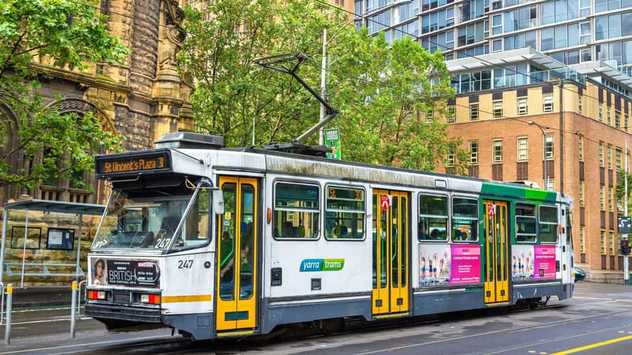 Best of Melbourne: Private Walking Tour with a Local - Key Points