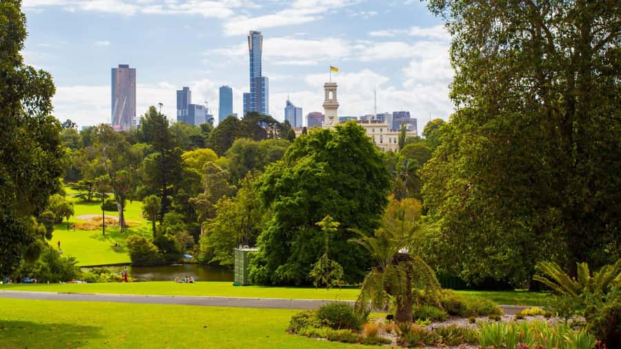 Best of Melbourne: Private Walking Tour with a Local - Royal Botanic Gardens and Open-Air Breathing Room