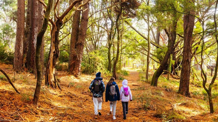 Best of Melbourne: Private Walking Tour with a Local - What the $48 Price Really Buys