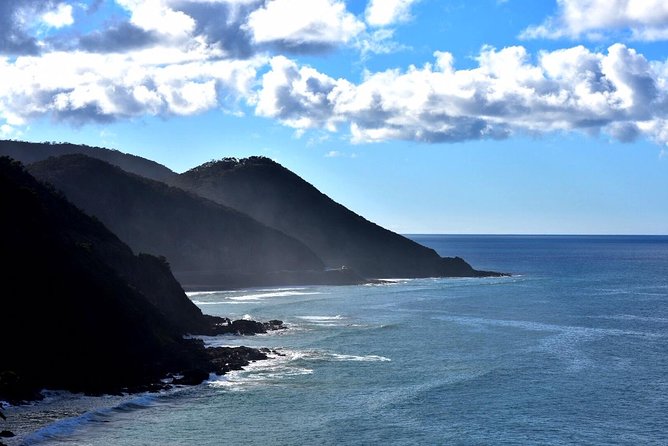 Boutique Great Ocean Road, wildlife and Rainforest Experience - Why this Great Ocean Road day feels different