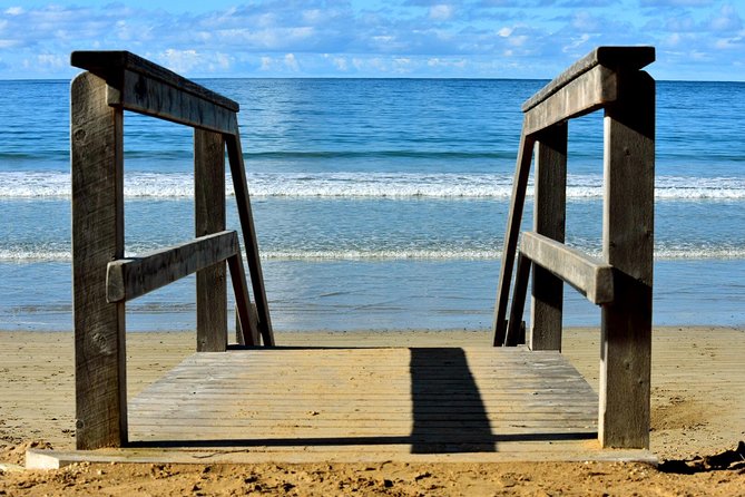 Boutique Great Ocean Road, wildlife and Rainforest Experience - Wildlife watching without a zoo