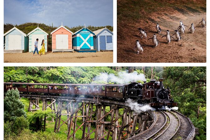 Brighton Bath Boxes & Puffing Billy & Penguin Parade 1-Day Tour - Key points to know before booking