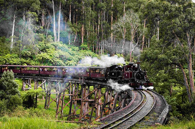 Brighton Bath Boxes & Puffing Billy & Penguin Parade 1-Day Tour - The Penguin Parade at Summerland Beach