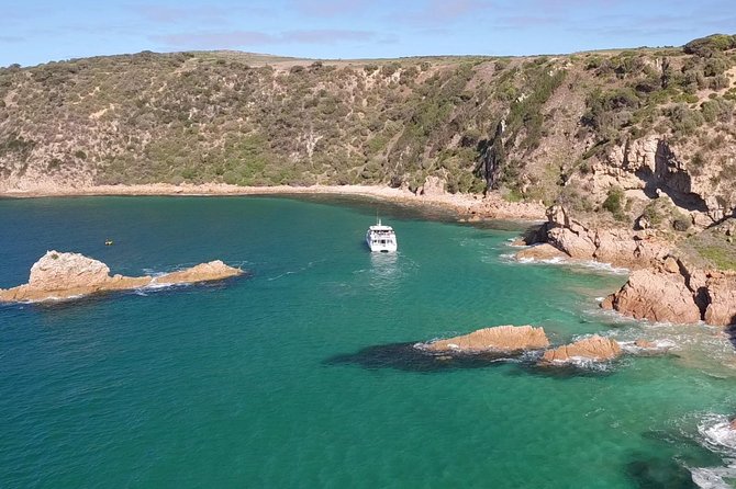 Cape Woolamai Sightseeing Cruise from San Remo - Leaving San Remo jetty