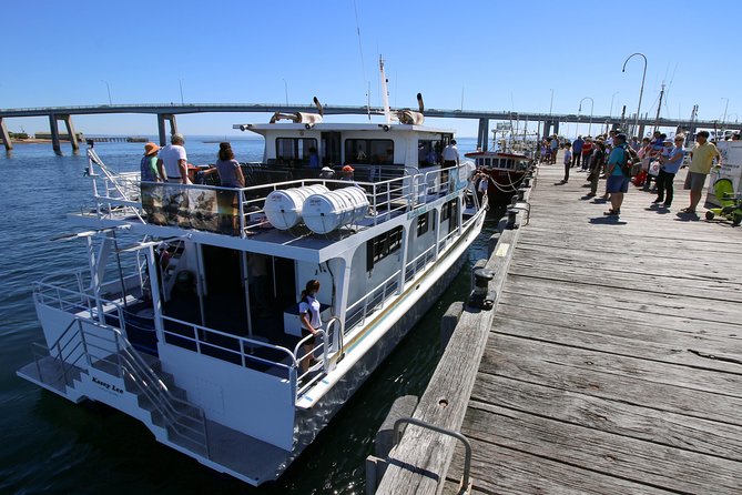 Cape Woolamai Sightseeing Cruise from San Remo - The return ride and the included morning tea