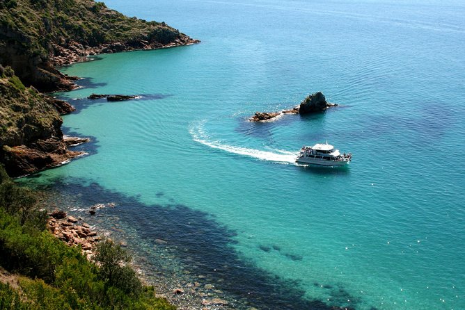 Cape Woolamai Sightseeing Cruise from San Remo - Is this a good cruise for children?