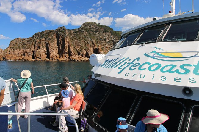 Cape Woolamai Sightseeing Cruise from San Remo - The first stretch: wildlife along Phillip Island