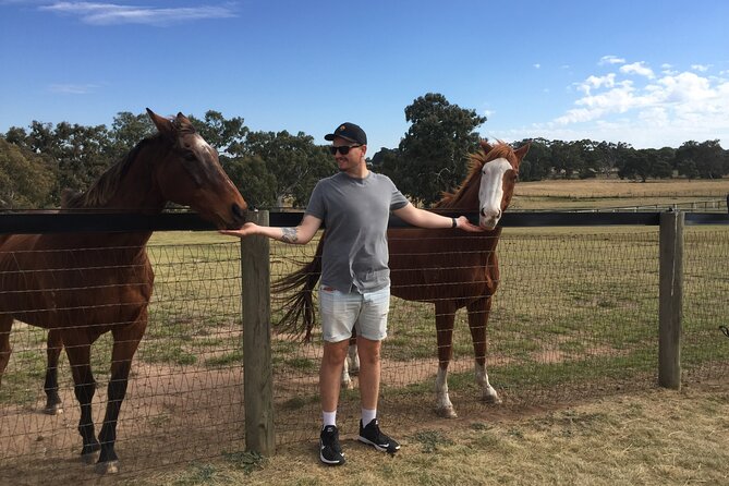Champion Racehorse Tour with Beer and Wine Tasting - Key points at a glance