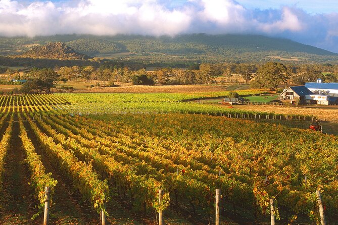 Champion Racehorse Tour with Beer and Wine Tasting - Why retired racehorses make this day special