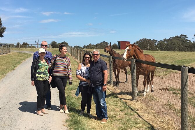 Champion Racehorse Tour with Beer and Wine Tasting - Is $208 a fair price?