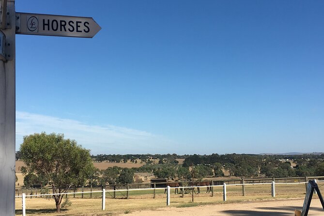 Champion Racehorse Tour with Beer and Wine Tasting - Group size and guide style