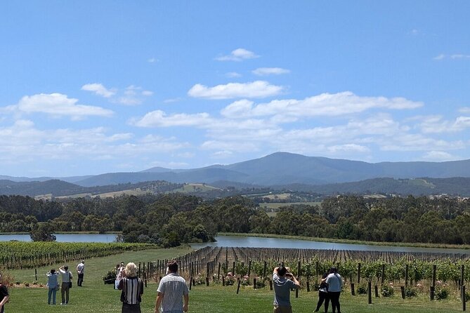 Cruise Ship Friendly Yarra Valley Wine Tour with Port Pickup - Key points to know before you book