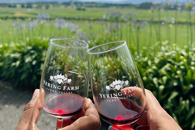 Cruise Ship Friendly Yarra Valley Wine Tour with Port Pickup - Yering Farm Wines: boutique wine with a cider bonus