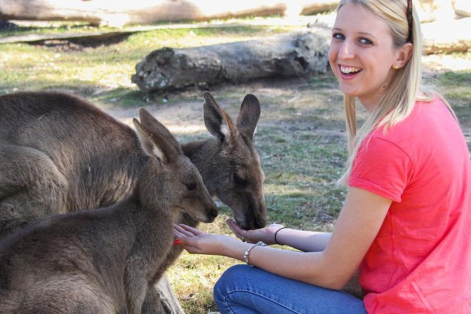 Custom Private Day Tour Melbourne to all surrounding areas for up to 11 people - What the guide adds, and where the service can improve