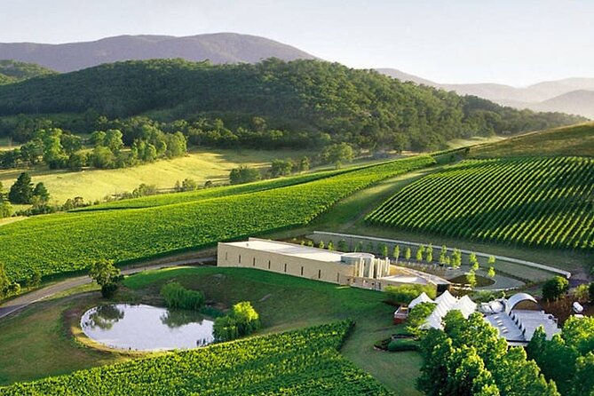 Customized private winery day tour in Yarra Valley at your own choices - Choosing lunch and using the scenery