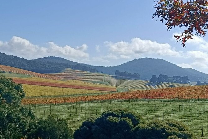 Customized private winery day tour in Yarra Valley at your own choices - Timing, group size, and comfort