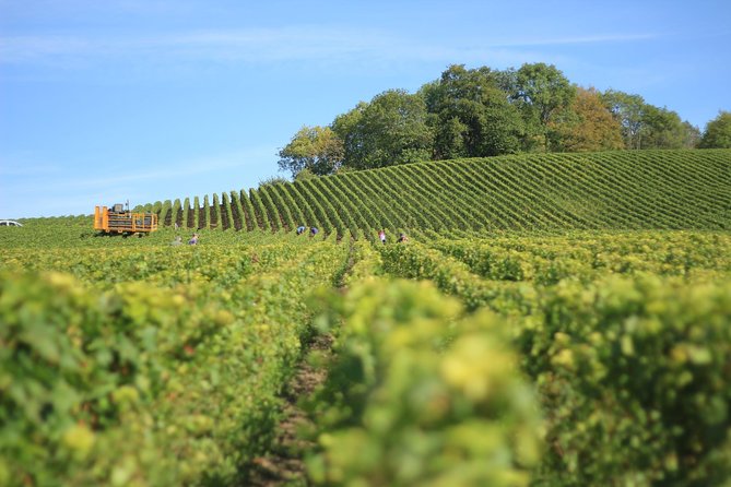Customized private winery day tour in Yarra Valley at your own choices - Planning your route before pickup