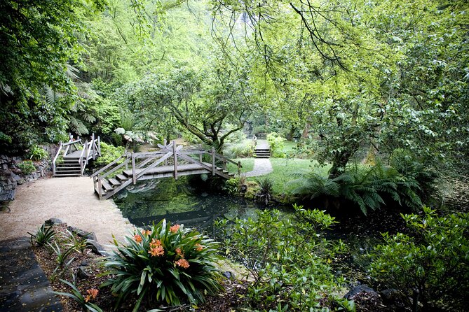 Dandenong Ranges Private Day Tour - From Melbourne CBD to cool mountain air