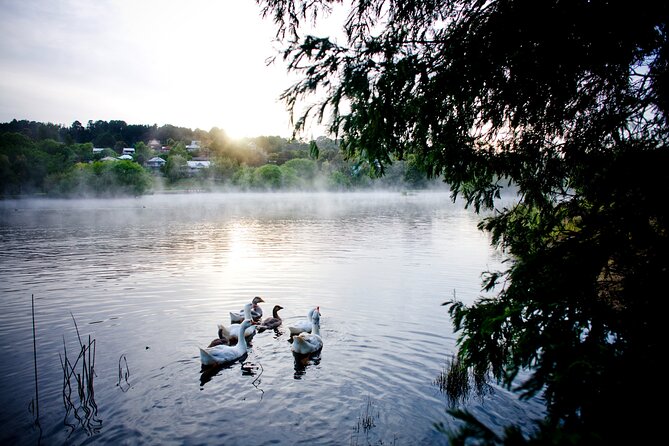 Daylesford Goldfields Track Walking and Wellness Experience - Why the Goldfields Track makes a good four-day escape