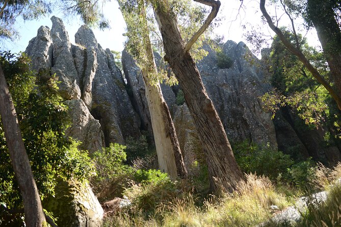Daylesford Goldfields Track Walking and Wellness Experience - Day 2: Hepburn Springs, the Dry Diggings trail, and Fryerstown