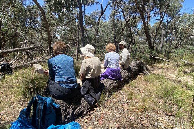 Daylesford Goldfields Track Walking and Wellness Experience - Day 3: Three Lost Children, Sawpit Gully, and Porcupine Ridge