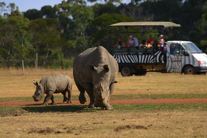 Deluxe Safari Adventure at Werribee Open Range Zoo - excl. entry - Key points at a glance