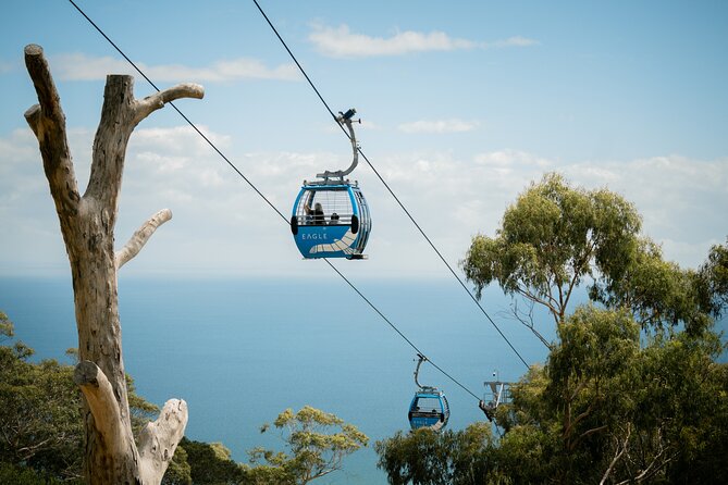 Depart Peninsula: Mornington Wine & Hot Springs Tour with Lunch - A full day built around three very different stops