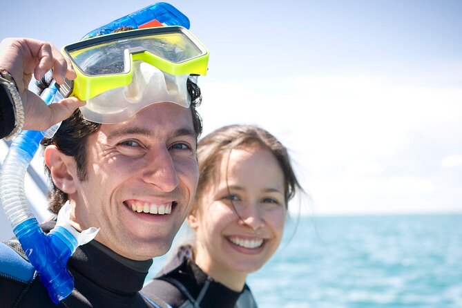Dolphin and Seal snorkel adventure from Sorrento - Who will enjoy Moonraker most