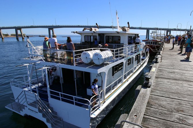 Dolphin & Whale Cruise - Cape Woolamai’s winter whale route