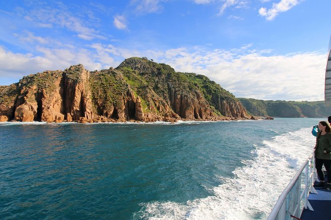 Dolphin & Whale Cruise - Is $96.83 a fair price?
